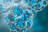 Coronavirus disease of the lungs, conceptual illustration