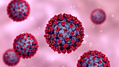 Covid-19 coronavirus particles, illustration