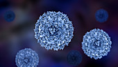 Covid-19 coronavirus particles, illustration