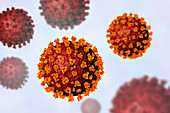 Covid-19 coronavirus particles, illustration