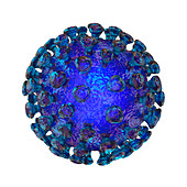Covid-19 coronavirus particles, illustration