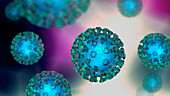 Covid-19 coronavirus particles, illustration