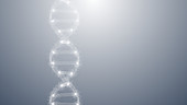 DNA molecule, conceptual illustration