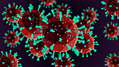 SARS virus, illustration