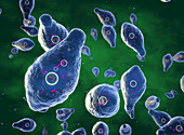 Clostridium botulinum bacteria, illustration