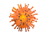 Covid-19 coronavirus, illustration