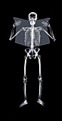 Human skeleton reading newspaper, X-ray