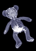 Teddy bear, X-ray