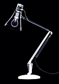 Table lamp, X-ray