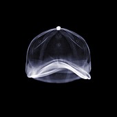 Baseball cap, X-ray