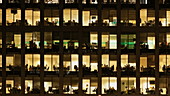 Office workers as night becomes day
