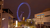 London Eye and Big Ben at night