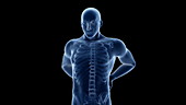 Human spine pain