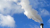Steam and incinerator chimney, slo-mo
