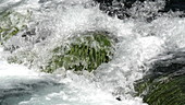 Fast flowing water, Rog waterfall, Croatia
