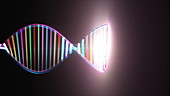 DNA molecule forming, animation