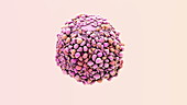 Breast cancer cell, animation