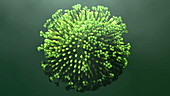 Influenza virus particle, animation