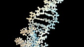 DNA molecule, animation