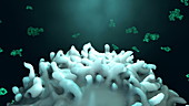 Antibodies attacking cancer cell, animation