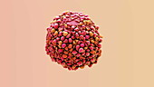 Cancer cell, animation