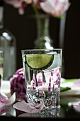 Glass of gin and tonic with lime
