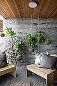 Plants planted in moss balls suspended in front of brick wall on terrace