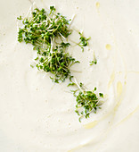 Vegan Jerusalem artichoke soup with cress, close-up