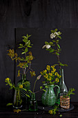 Flowering stems in vases (cypress spurge, oak twig, red dogwood, clematis)
