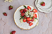 Fault Line Cake mit Erdbeeren