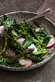 Arugula salad with radishes, shaved asparagus, cheese, mint and lemon vinaigrette