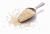 Sesame seeds in a metal scoop