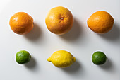 Various citrus fruits on a white surface