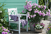 Blossoming jasmine wine in a basket, jasmine blooming nightshade and a basket with verbena and Bornholm marguerite, armchair with blanket