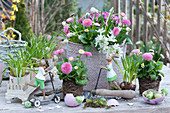 Easter decoration with a thousand beauties, grape hyacinths, star of milk and moss saxifrage, Easter bunnies on scooters, eggshells and Easter eggs