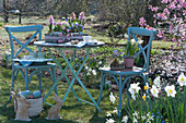Kleine Sitzgruppe im Frühlingsgarten, Töpfe mit Hyazinthen, Tausendschön, Narzissen 'Toto' und Strahlenanemone, österlich mit Ostereiern und Osterhasen