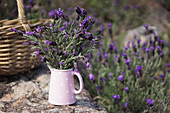 Posy of butterfly lavender