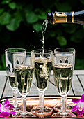 Pouring a bottle of prosecco into glass flutes lined up on a copper tray outside, with purple orchids, and greenery behind