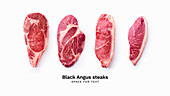 Black angus prime beef steak variety isolated on white background with copy space