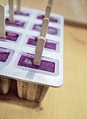 Homemade bobble yoghurt popsicles in a mould