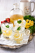 Holunderblüten-Likör mit Zitrone und Minze