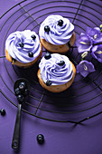 Vegan blueberry cupcakes with blueberry cream topping