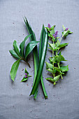 Laurel, pandan leaf and aniseed herb