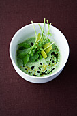 Water cress and all spice soup with pistachio gremolata