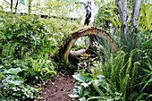 Hollow tree trunk as tunnel in the garden