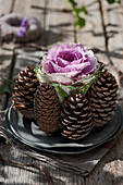 Arrangement of ornamental cabbage and pine cones on pewter plates on wooden table