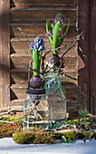 Hyacinths on top of glass vessels