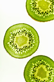 Macro shot of backlit kiwi fruit slices on white background. Top view layout