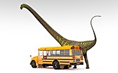 Mamenchisaurus and school bus, illustration