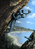 Drepanosaurus dinosaur, illustration